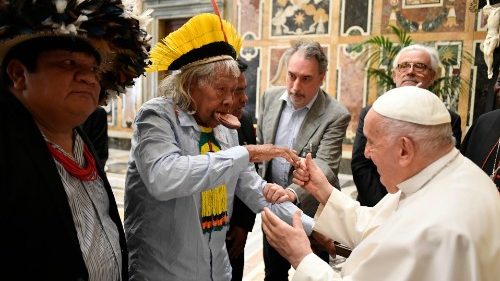 Папа з удзельнікамі міжнароднай сустрэчы па клімату