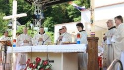 Zagrebački pomoćni biskup Mijo Gorski predvodi misno slavlje u Maclju  (Foto: Bernard Čović)
