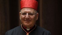 Patriarch Sako during a visit to the Vatican in 2018