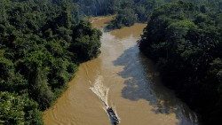 Die Flüsse im Amazonasgebiet sind durch illegale Goldschürferei verschmutzt