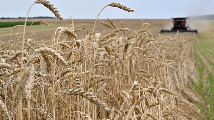 Ukraine-Russia grain crisis