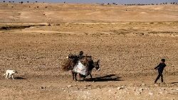 Un terreno agricolo del Medio Oriente colpito dalla siccità