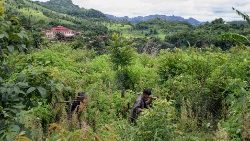 Des rebelles anti-junte à la recherche de mines dissimulées par l'armée birmane autour de la ville de Pekon en juillet 2023. 