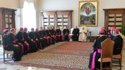Un groupe d'évêques brésiliens en audience avec le Pape le 23 septembre 2022.