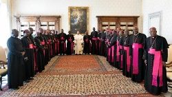 Quelques évêques du Cameroun en compagnie du Pape François. 