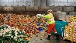 Tonnenweise Lebensmittel werden in den Industrieländern täglich weggeworfen