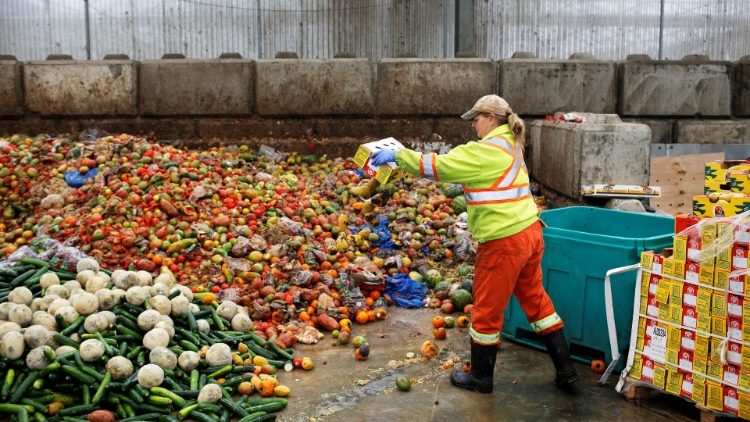 A worker dumps pre-consumer food waste before being fed to black soldier fly larvae