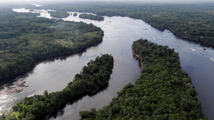 Der Amazonas ist die grüne Lunge unseres Planeten