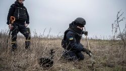 地雷の探知・除去作業を行う人々　ウクライナ・ハルキウ州