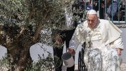 Papa Francisco regando uma oliveira após encontro com jovens de Schollas Occurrentes