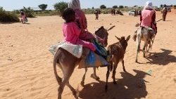Sudanesische Familie flüchtet auf einem Esel in den benachbarten Tschad