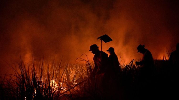 Bomberos tratan de controlar un incendio en la foresta amazónica de San Buenaventura