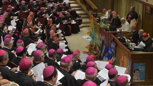 Le Synode, histoire et visages d'une institution