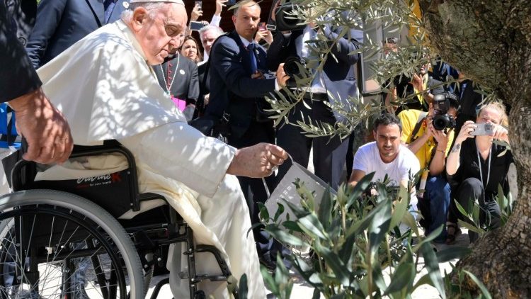 Il Papa benedice un albero di ulivo