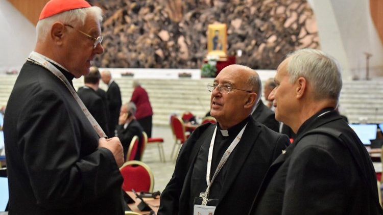 Kardinal Gerhard Ludwig Müller im Gespräch mit weiteren Synodalen