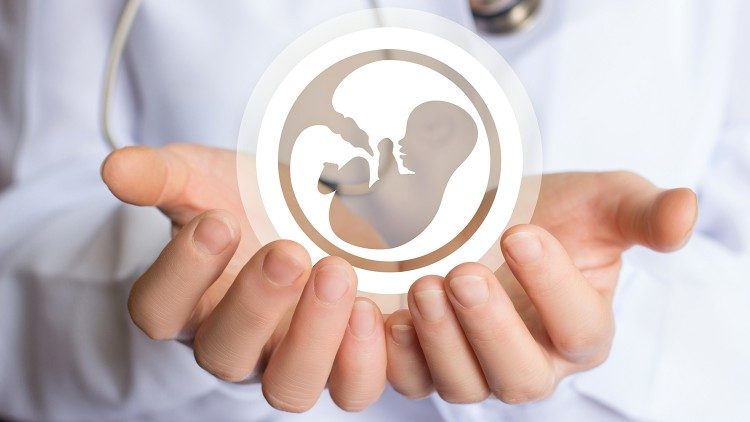 Hände halten sich schützend um einen Embryo (Symbolbild)