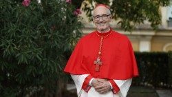 Cardinal Michael Czerny