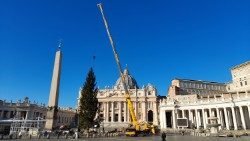 L'albero di Natale in Piazza San Pietro (foto d'archivio)