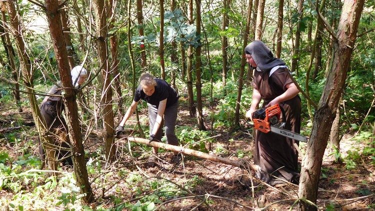 The sisters working with a chainsaw on the site of the new garden