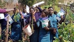 Récolte des carottes du jardin de l'école pendant le cours Laudato si' à l'École Catholique des Sciences de la Santé de Shisong, Cameroun