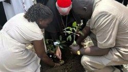 El cardenal Parolin en Sudán del Sur participa en la plantación de algunos árboles de la paz