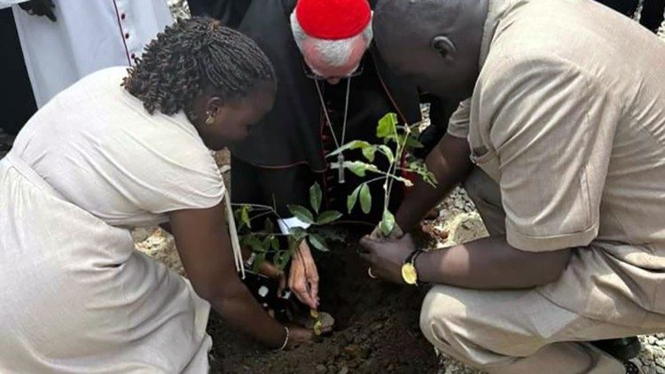 Cardeal Parolin participou da cerimônia de plantio da árvore da paz. 
