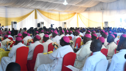 Nigerian Bishops at the 2023 Second Plenary Assembly