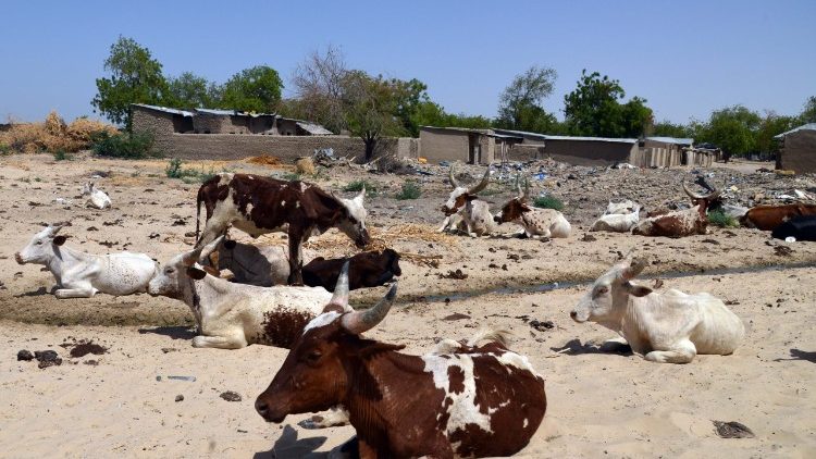 Carestia e siccità nella regione del Sahel