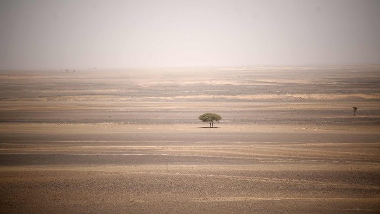 Deserto Sahara