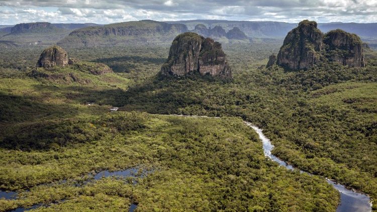 Изглед над Амазонската джунгла