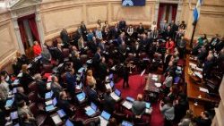 Сенат - верхняя палата Нацыянальнага кангрэса Аргентыны