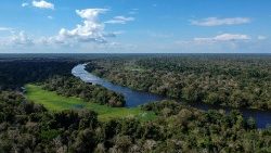 The Jaraua River in Amazonas State, Brazil