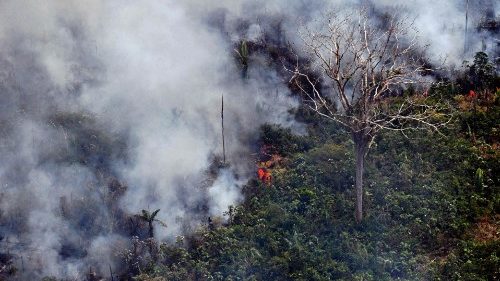 Brazílski biskupi žiadajú vládu o serióznu ochranu pralesa 
