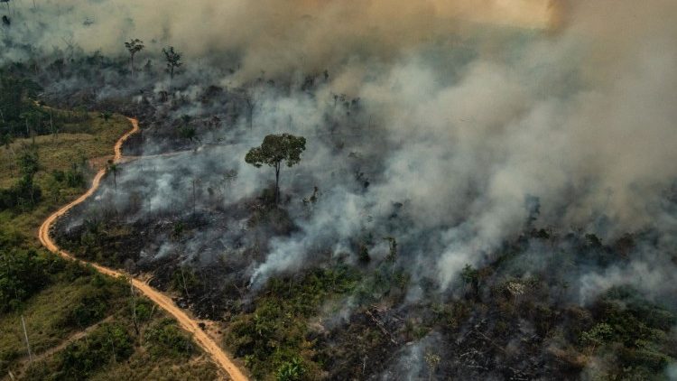 아마존 산불