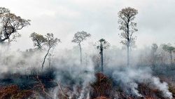 Humareda tras un incendio en el Parque Nacional de Otuquis, en el sureste de Bolivia
