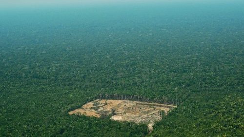 Treffen vor der Amazonassynode: Sorge wegen Zerstörung und Gewalt