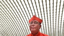 Kardinál Jean-Claude Hollerich SJ