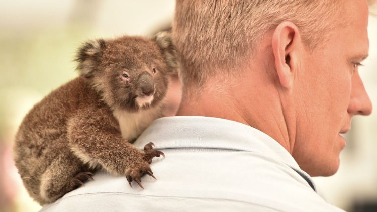 一位澳大利亞獸醫肩背著小袋鼠