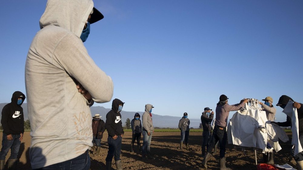 US-IMMIGRANT-AGRICULTURAL-WORKERS-CRITICAL-TO-U.S.-FOOD-SECURITY