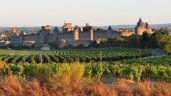Une vue du vignole autour de Carcassonne, dans le sud de la France, le 6 août 2020.