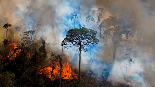 Biskupi brazylijscy reagują na pożary niszczące Amazonię