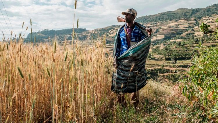 Етиопски фермер и боец на милицията, 8 ноември 2020