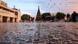 Weihnachtsbaum und Geburtsszene in Bethlehem