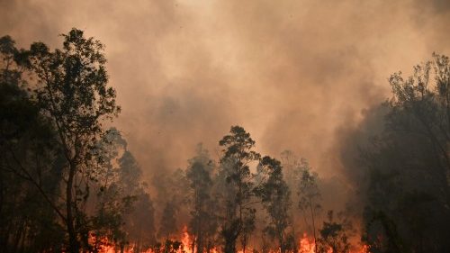 호주에서 발생한 산불로 인한 황폐화