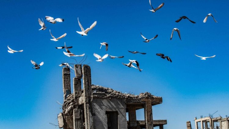 una bandada de pájaros vuelan sobre las ruinas de la ciudad e Raqqa