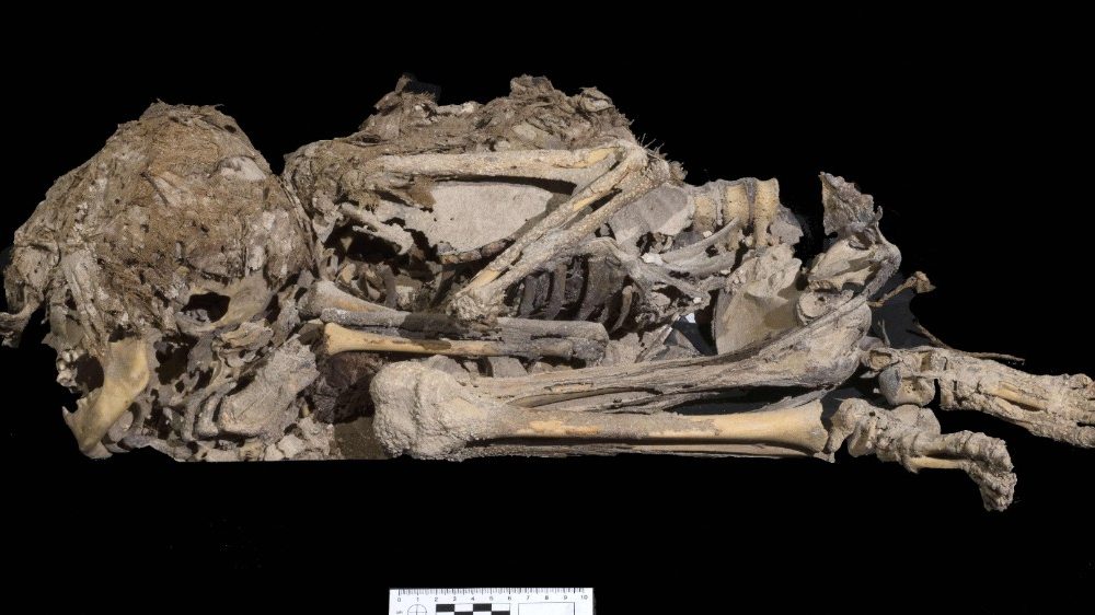 一具6千年前用布包裹著的儿童骨骼残骸