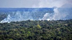 Incendie en Amazonie, le 31 octobre 2020