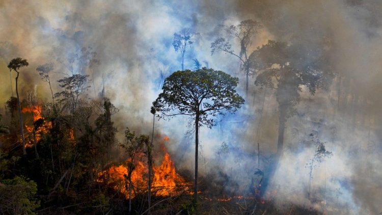 La deforestación aumenta el riesgo de incendios.