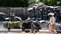 Nigeria. Pilas de bolsas de carbón vegetal desplazadas para su venta a lo largo de la carretera.  El país se ve amenazado por ataques de bandidos que buscan el carbón vegetal entre otros productos.