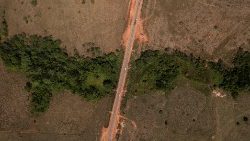 A Curionopolis, in Brasile, la deforestazione è causata dai cambiamenti climatici e dall'azione dell'uomo (Mauro Pimentel / Afp)